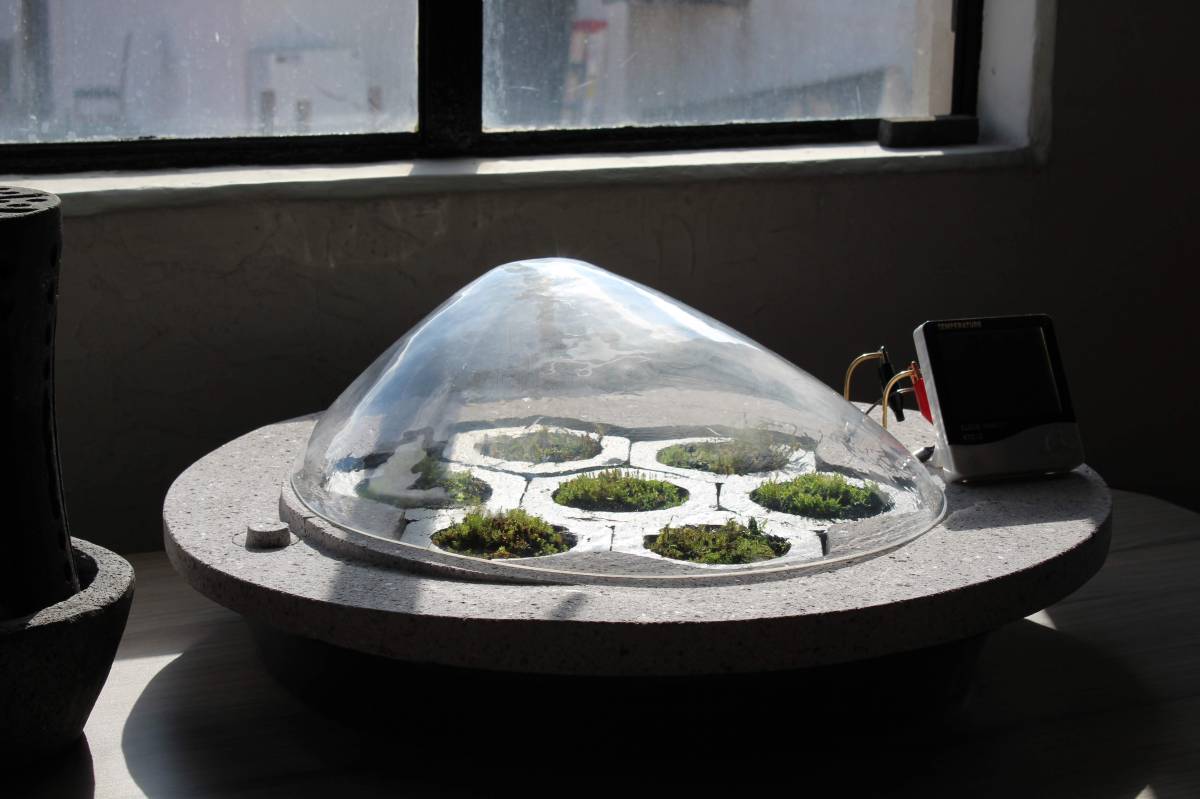 Tesis, “Termo-Higrómetro Bio-foto-voltaico Simbiótico y Humidificador&nbsp;Pétreo”.