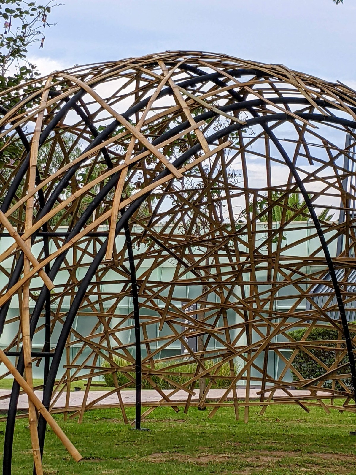 Recubrimiento con latilla de bambú en el Tec campus&nbsp;León